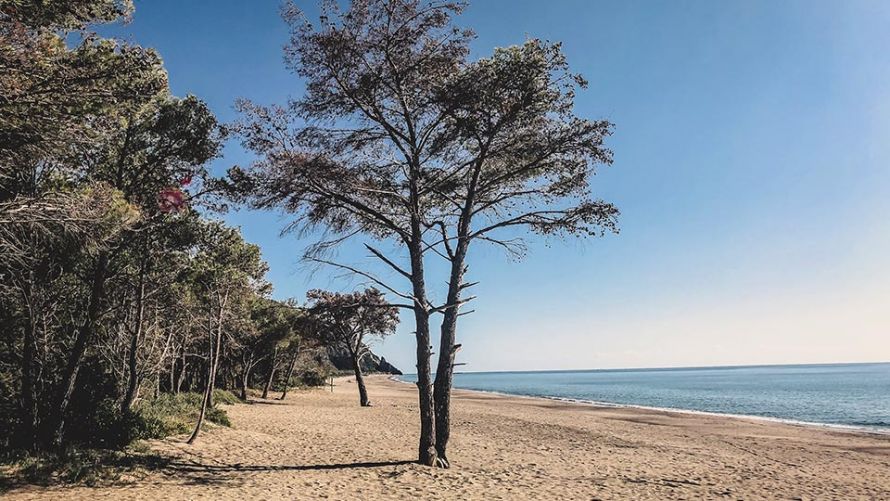 Cilento Nationalpark